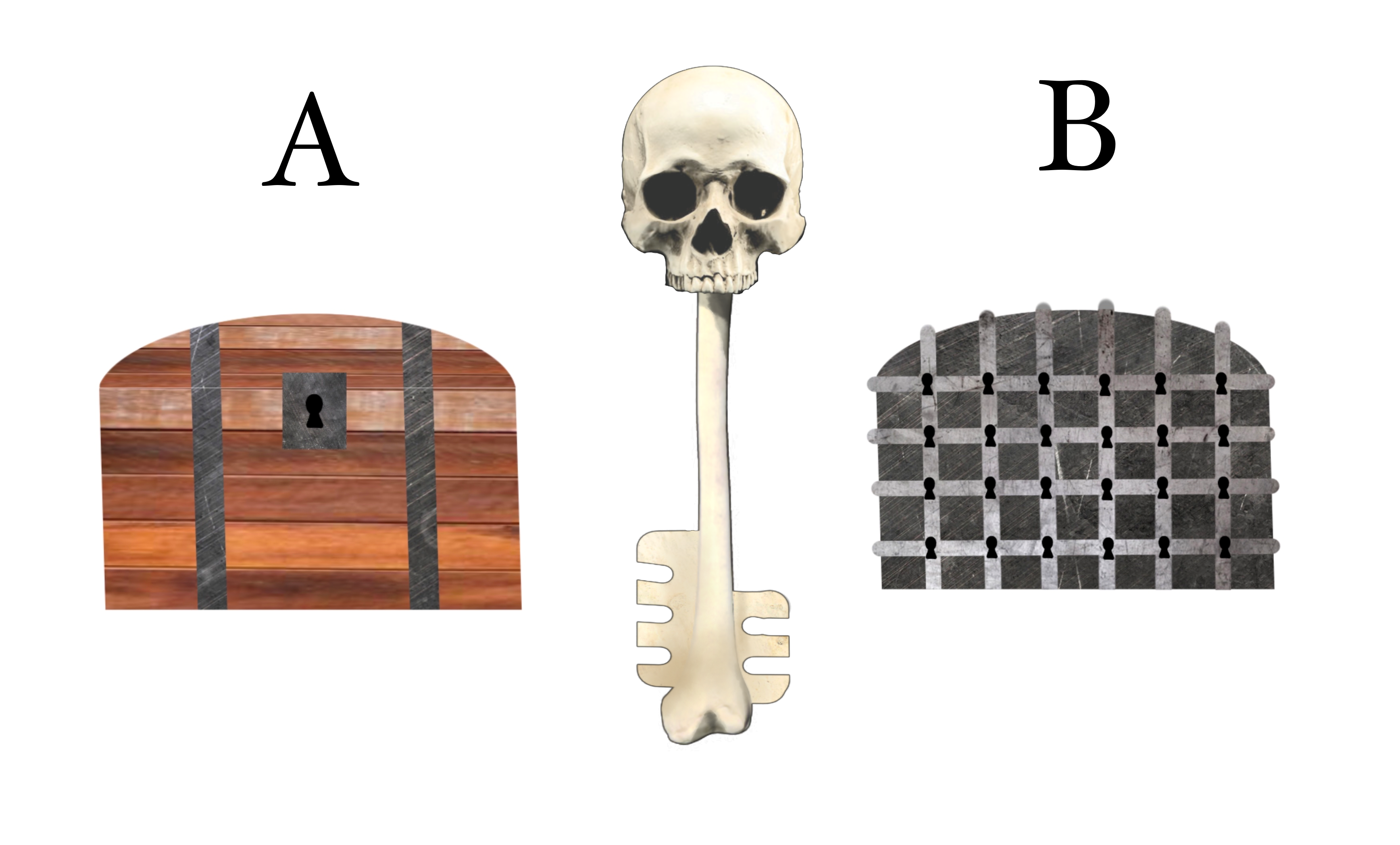 Skeleton Key, DOORS Wiki